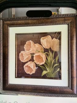 Tulip picture