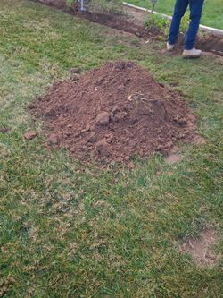 Free Clean Dirt