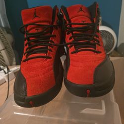 air jordan 12  reverse  flu  game