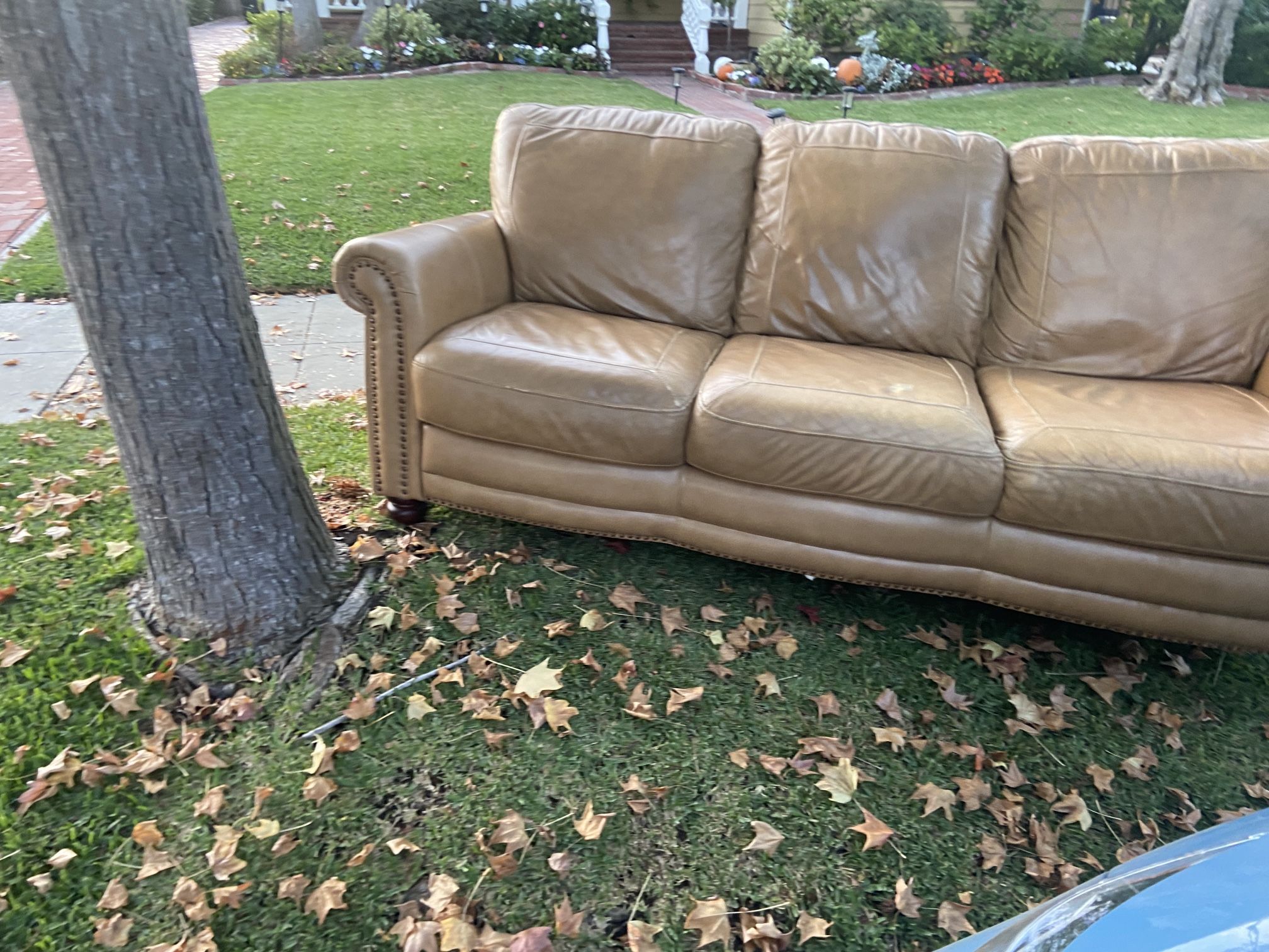 Free Leather Couch