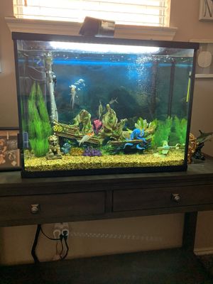 New And Used Fish Tank Decorations For Sale In Duncanville Tx