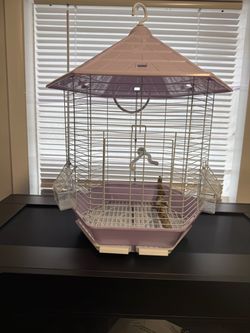 Bird Cage