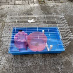 Critter Cage