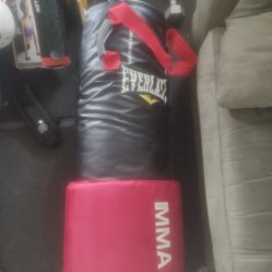 50 Lb Mma Everlast Boxing Bag