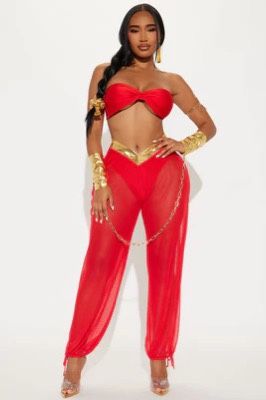 Red Princess Jasmine Costume XS/S Women’s Fashion Nova