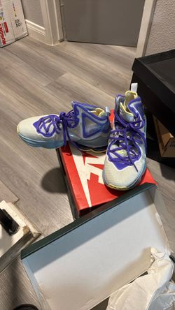 Lebron Nikes