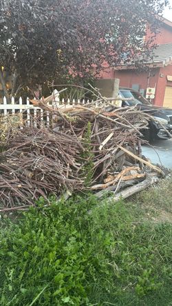 Free wood