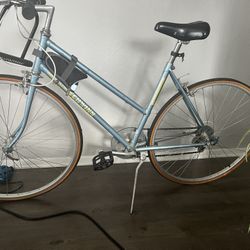 Schwinn Bicycle