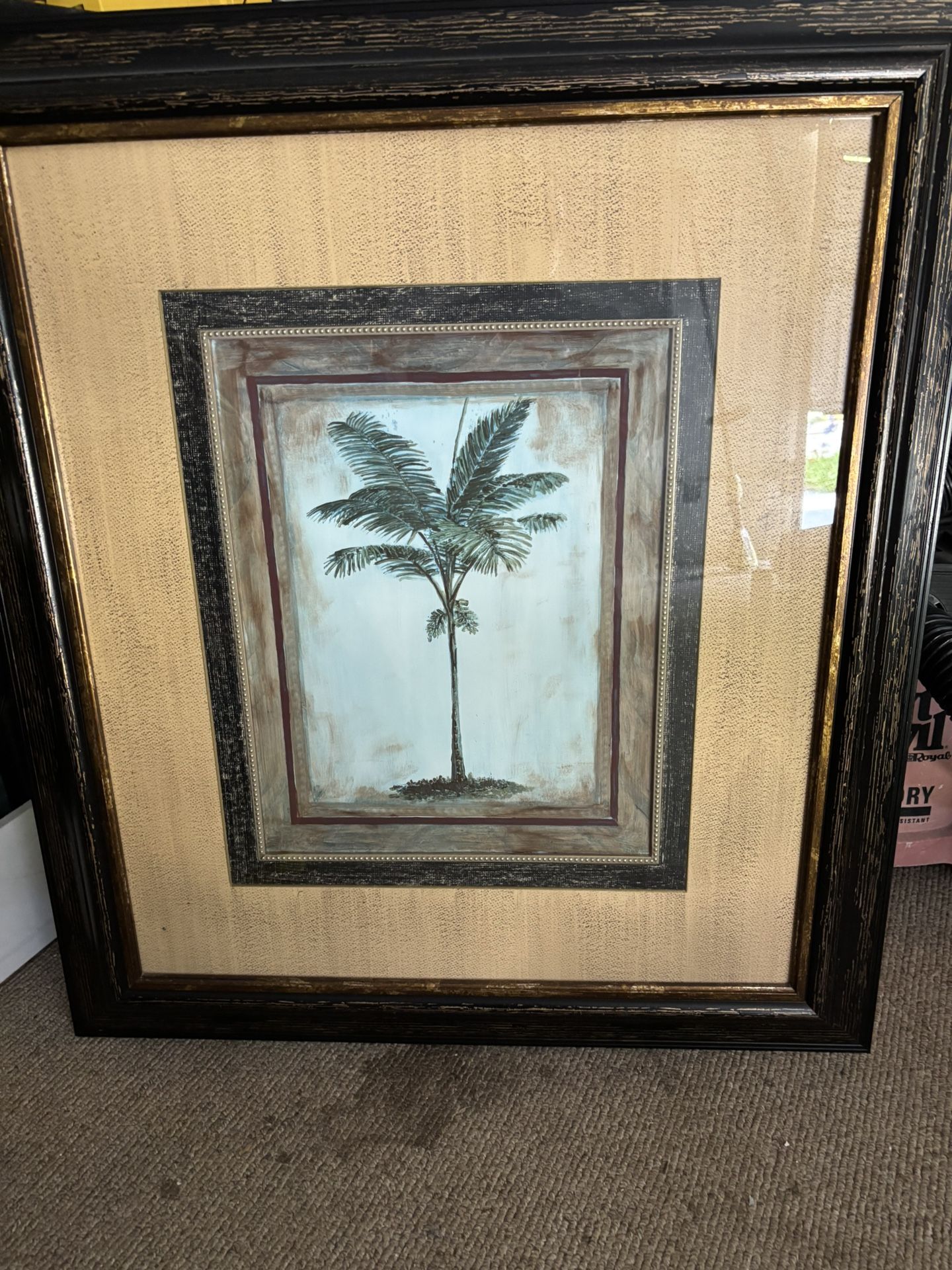 Pictures of Vintage Palm Trees.