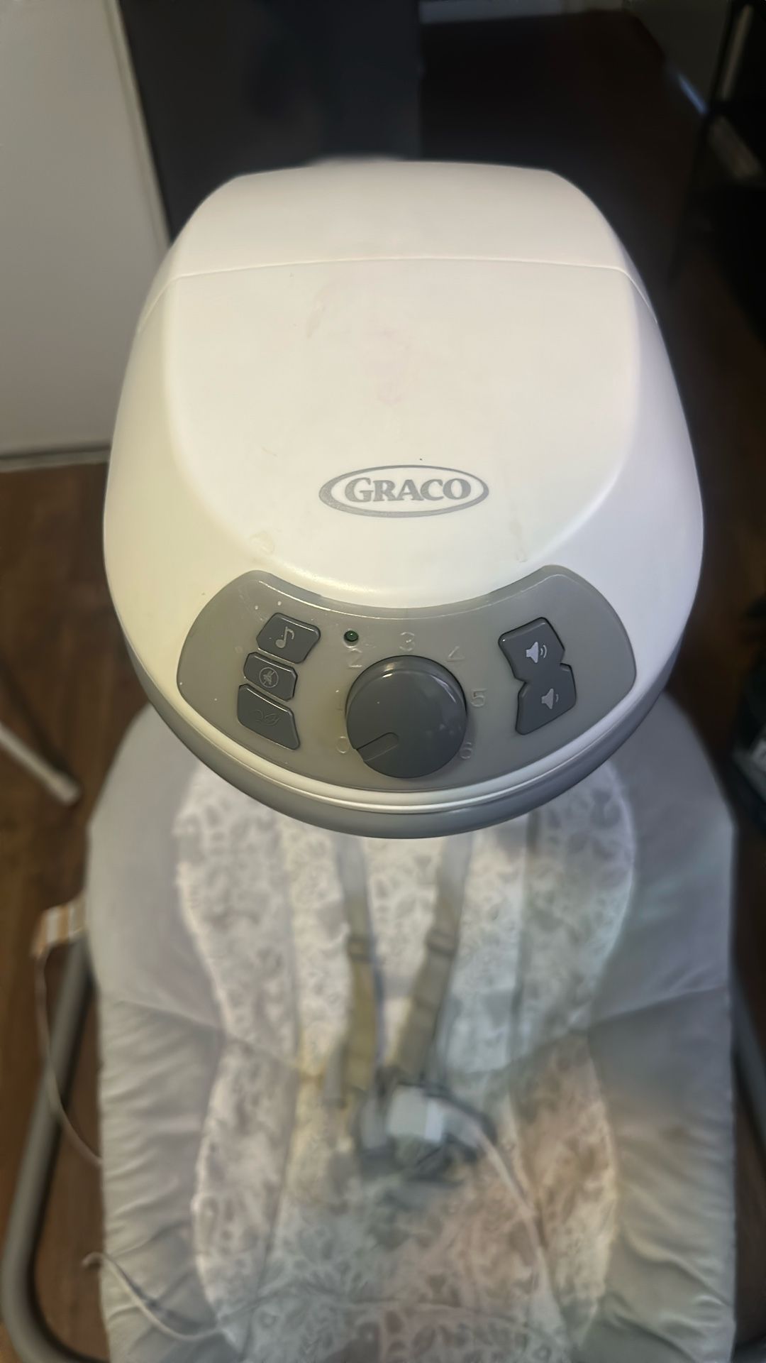 Graco Baby Swing
