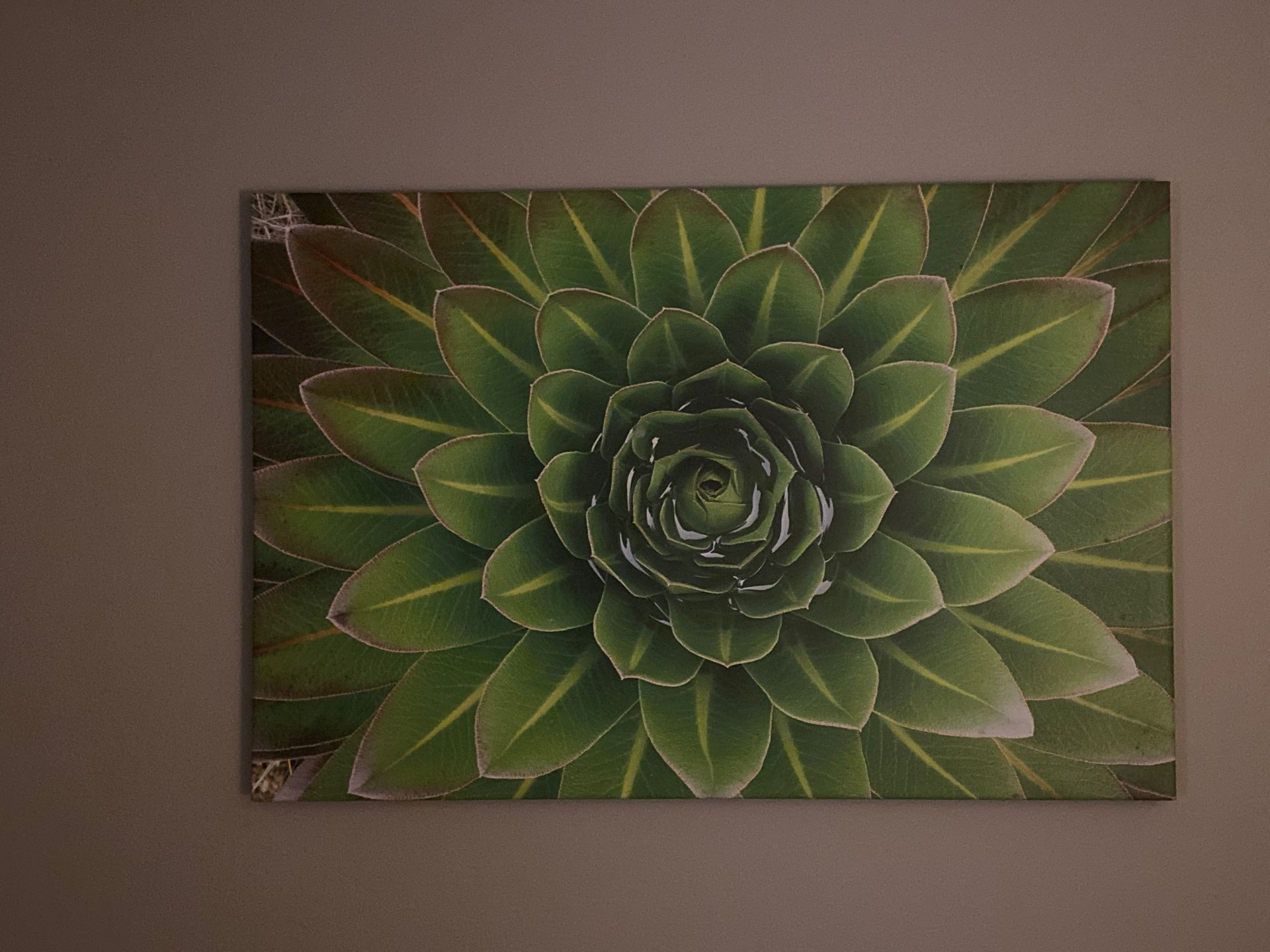 Large canvas photo 4ft by 32in
