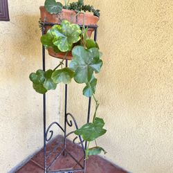 Pot On A Metal Stand