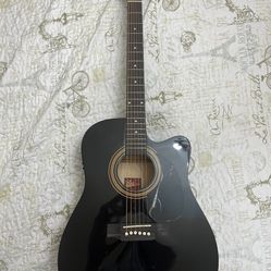 Rogue Guitar 