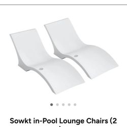 2 Pool Lounge Chairs 