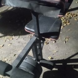 Bench Press