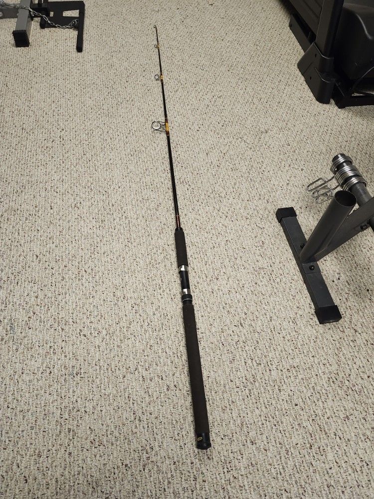 Daiwa Beefstick Fishing Rod