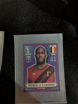 2022 qatar panini