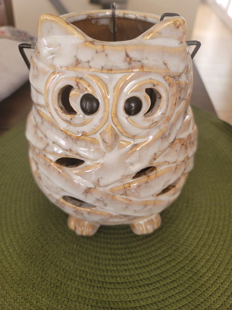 Owl mummie Halloween