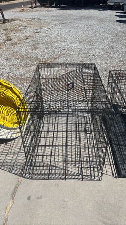 Dog Cages