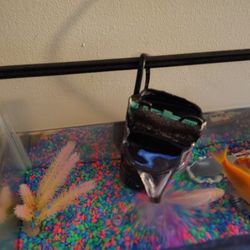 5 GALLON TANKS 