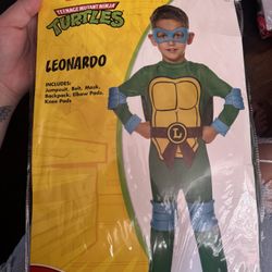 Ninja Turtle Costume