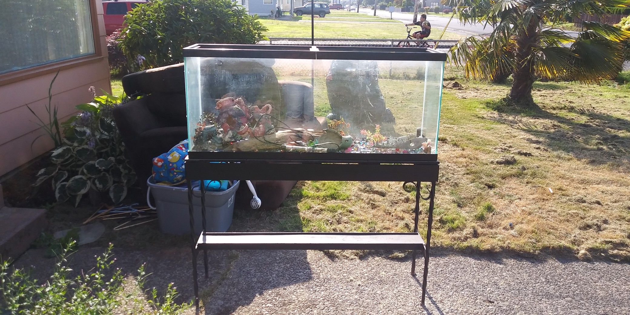 75 gallon fish tank