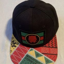 New Black Panthers Cap