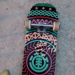 Element Skate Board 