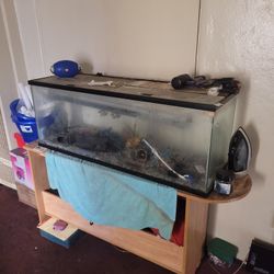 65 Gallon Fish Tank W/ 6 Month Maintaince FREE PUMP