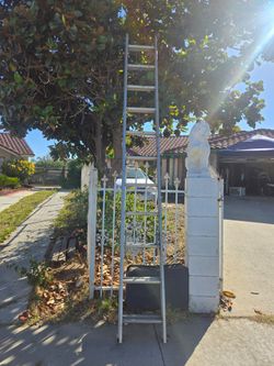 22ft ladder