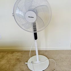 Oscillating Stand Up Fan