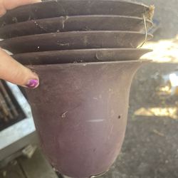 5 8inch Flower Pots 