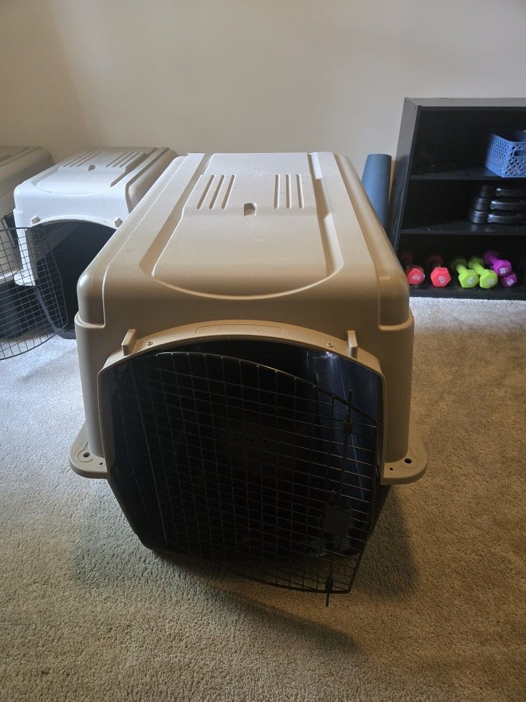 Dog Kennels