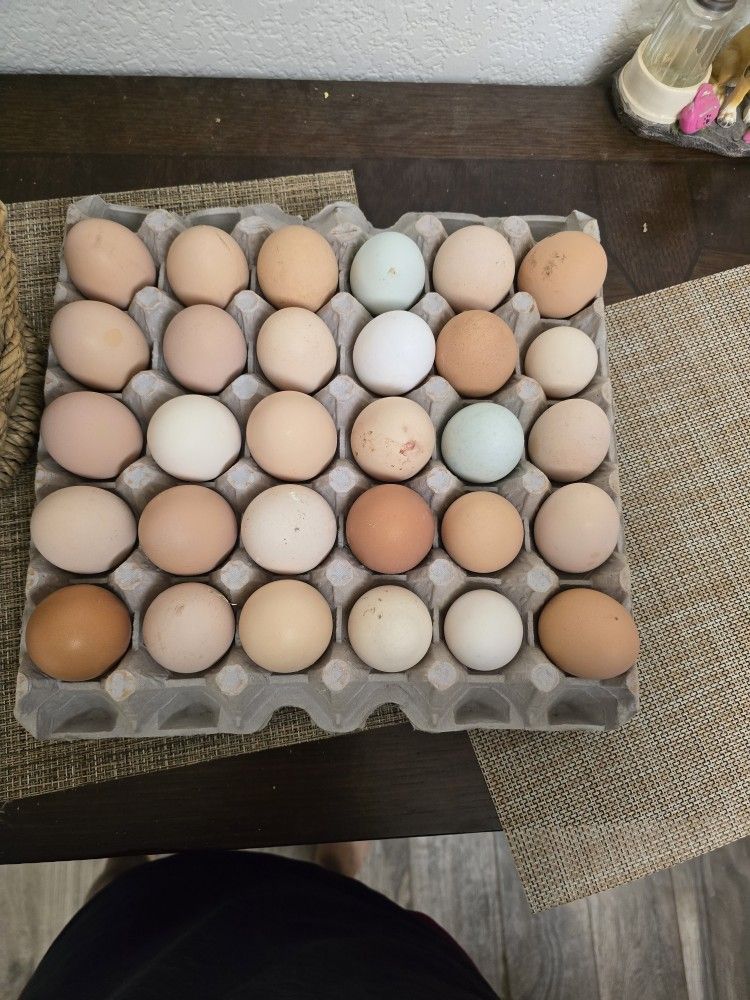 Fresh Farm Eggs