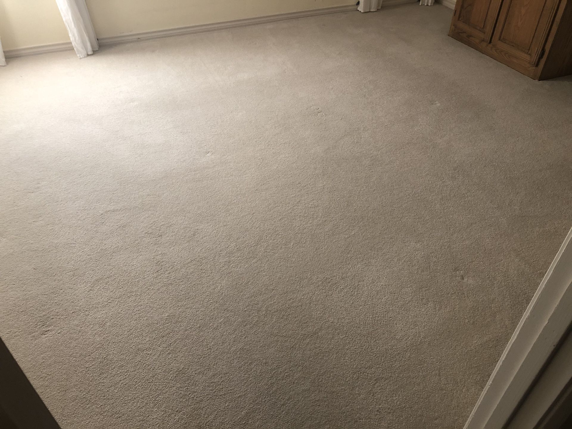 White light-colored plush carpet