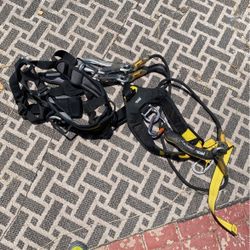 Harness