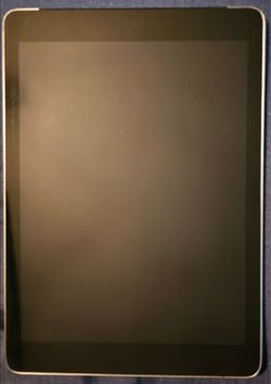Apple iPad 6th Gen (Case & Pen Included)