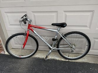 Adult Bike