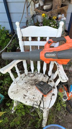 Blower and charger, but the battery died