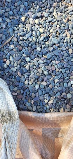 Beach Rock