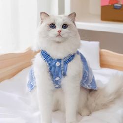Cat / dog dress 4-6kg
