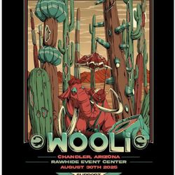 WOOLI VIP ticket For SALE