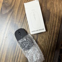 Wireless Computer Mouse