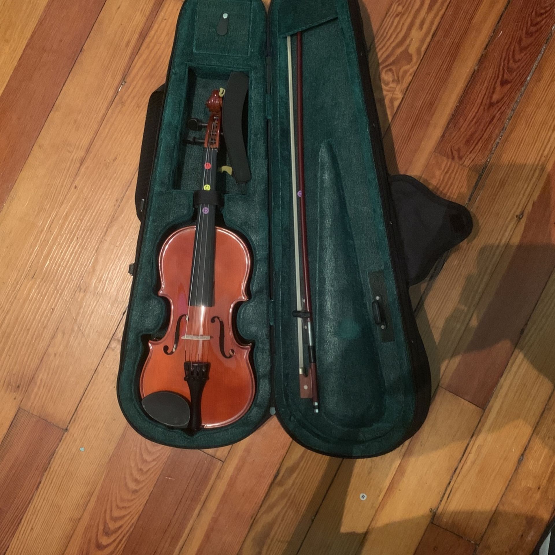 Violin 