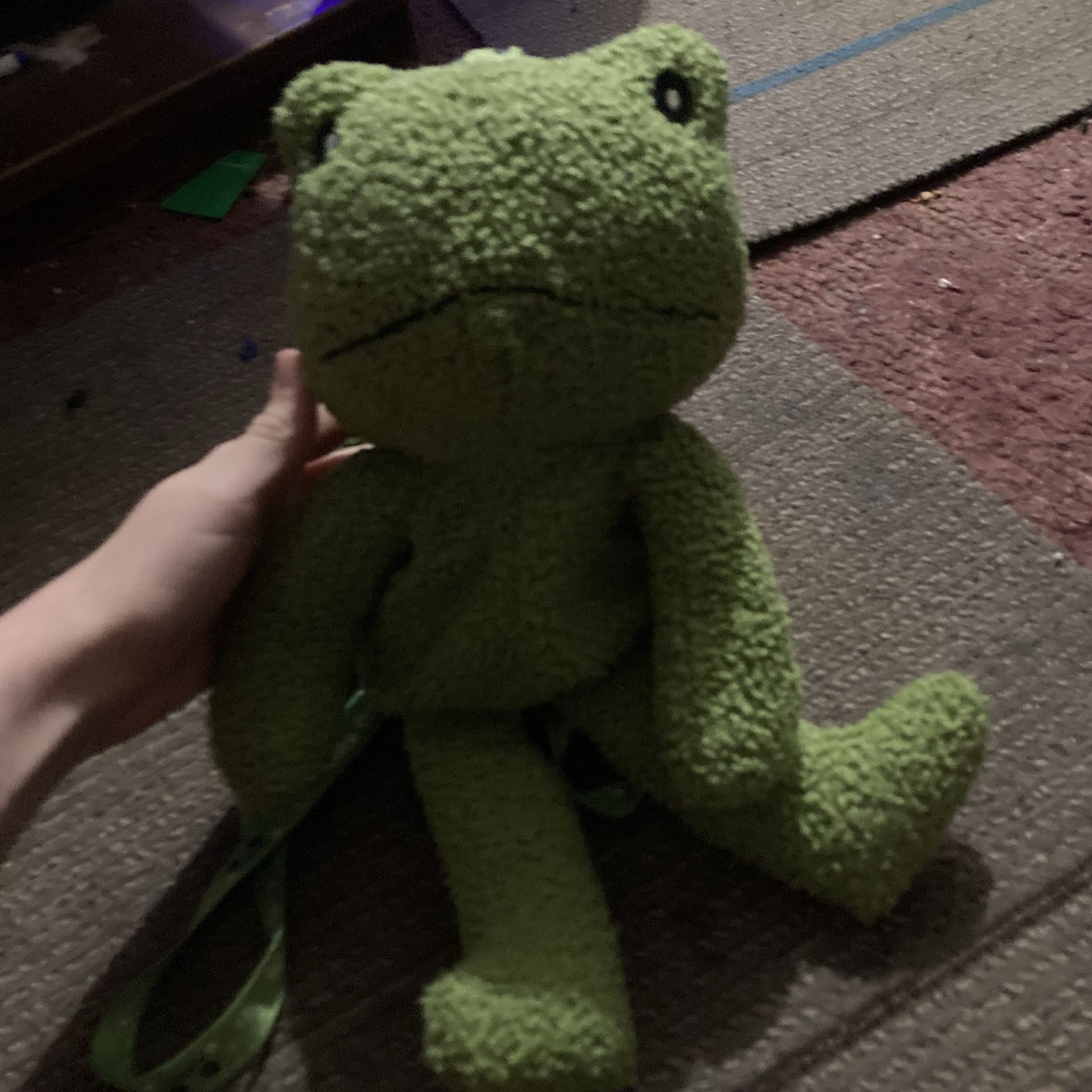 Cute Frog Plush Bag