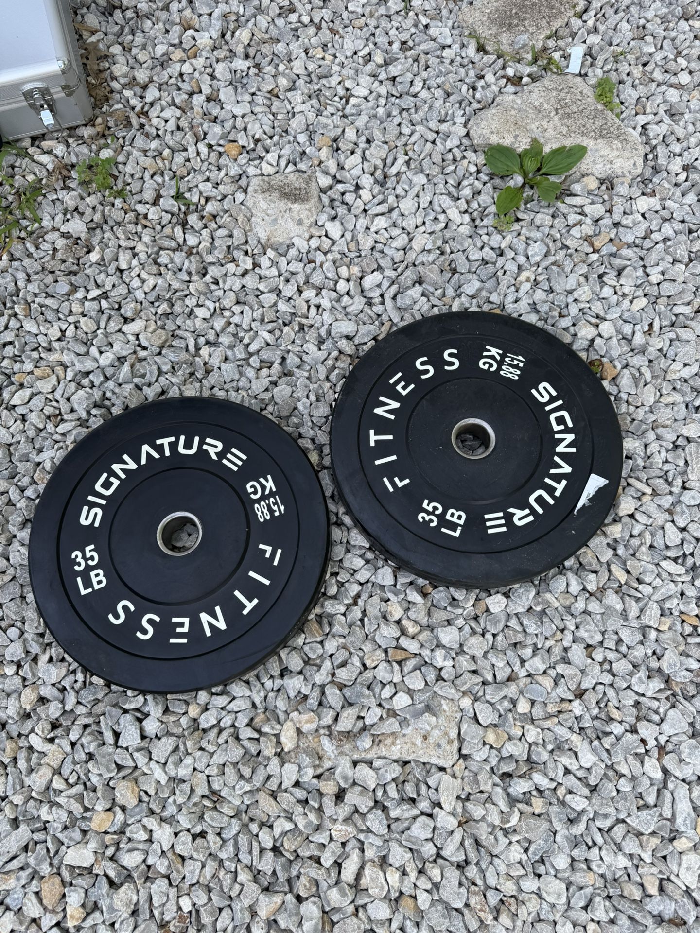 35LB Olympic Bumper Plate Pair NEW