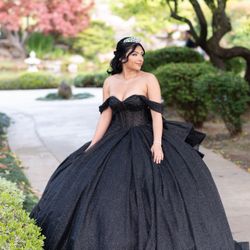 Quinceañera/Sweet 16 Dress 