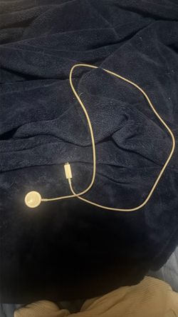 Apple Watch charger