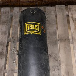 Everlast Punching Bag