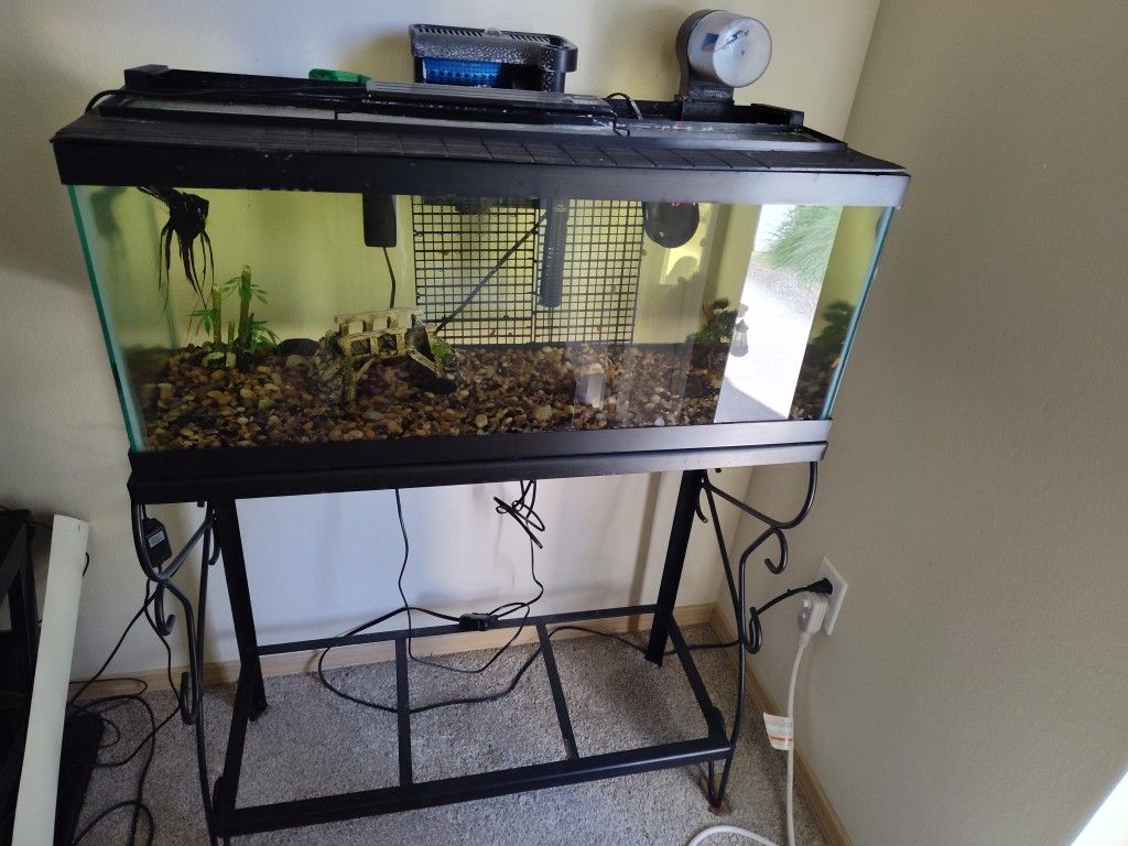 Aquarium New